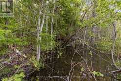 PART FARM LOT 4 CHI SIN TIB DEK ROAD | Tobermory Ontario | Slide Image Eight