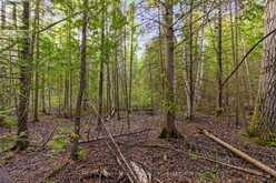 PART FARM LOT 4 CHI SIN TIB DEK ROAD | Tobermory Ontario | Slide Image Nine