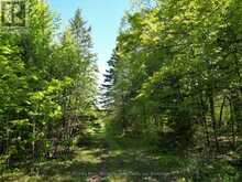 791 CLEAR LAKE ROAD | Parry Sound Ontario | Slide Image Eight