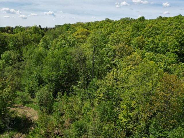 791-B CLEAR LAKE ROAD Parry Sound Ontario, P0H 1A0 - Vacant Land For Sale