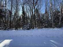 0 LAKEVIEW DRIVE E | Magnetawan Ontario | Slide Image Three