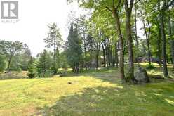 2411 HWY. 118 E. HIGHWAY | Bracebridge Ontario | Slide Image Thirty-seven