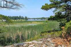180 PRISQUE ROAD | Honey Harbour Ontario | Slide Image Thirteen