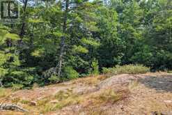 180 PRISQUE ROAD | Honey Harbour Ontario | Slide Image Nine