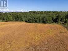 315421 HIGHWAY 6 HIGHWAY | Chatsworth Ontario | Slide Image Fifteen