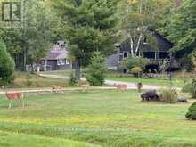 126-5 - 1052 RAT BAY ROAD S | Dwight Ontario | Slide Image Thirty