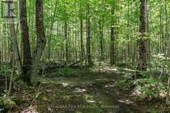 89 TAMMYS COVE ROAD | Miller Lake Ontario | Slide Image Twelve