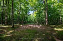 89 TAMMYS COVE ROAD | Miller Lake Ontario | Slide Image Eight