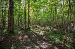 89 TAMMYS COVE ROAD | Miller Lake Ontario | Slide Image Nine
