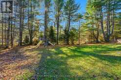 39 GROEGER ROAD | Huntsville Ontario | Slide Image Thirty-nine