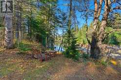 39 GROEGER ROAD | Huntsville Ontario | Slide Image Forty-two
