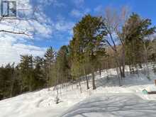 161 - 25 BALSAM CREEK ROAD | Parry Sound Ontario | Slide Image Seventeen