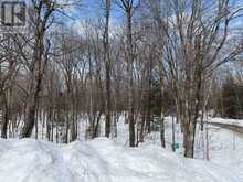161 - 25 BALSAM CREEK ROAD | Parry Sound Ontario | Slide Image Eight