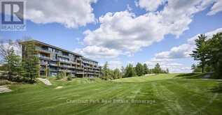 410 - 120 CARRICK TRAIL | Gravenhurst Ontario | Slide Image Thirty-four