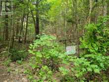 LOT 9 & 10 CONCESSION 5 | Baysville Ontario | Slide Image Twelve