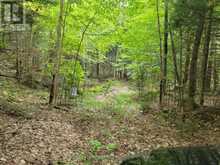 LOT 9 & 10 CONCESSION 5 | Baysville Ontario | Slide Image Thirteen