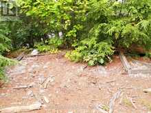 LOT 9 & 10 CONCESSION 5 | Baysville Ontario | Slide Image Seventeen