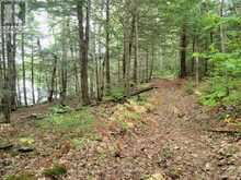 LOT 9 & 10 CONCESSION 5 | Baysville Ontario | Slide Image Eighteen