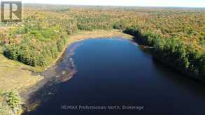 LOT 9 & 10 CONCESSION 5 | Baysville Ontario | Slide Image Four