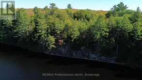 LOT 9 & 10 CONCESSION 5 | Baysville Ontario | Slide Image Five