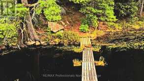 LOT 9 & 10 CONCESSION 5 | Baysville Ontario | Slide Image Eight