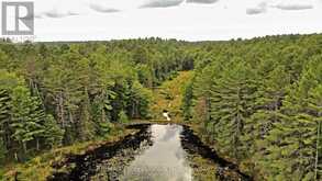 LOT 9 & 10 CONCESSION 5 | Baysville Ontario | Slide Image Nine