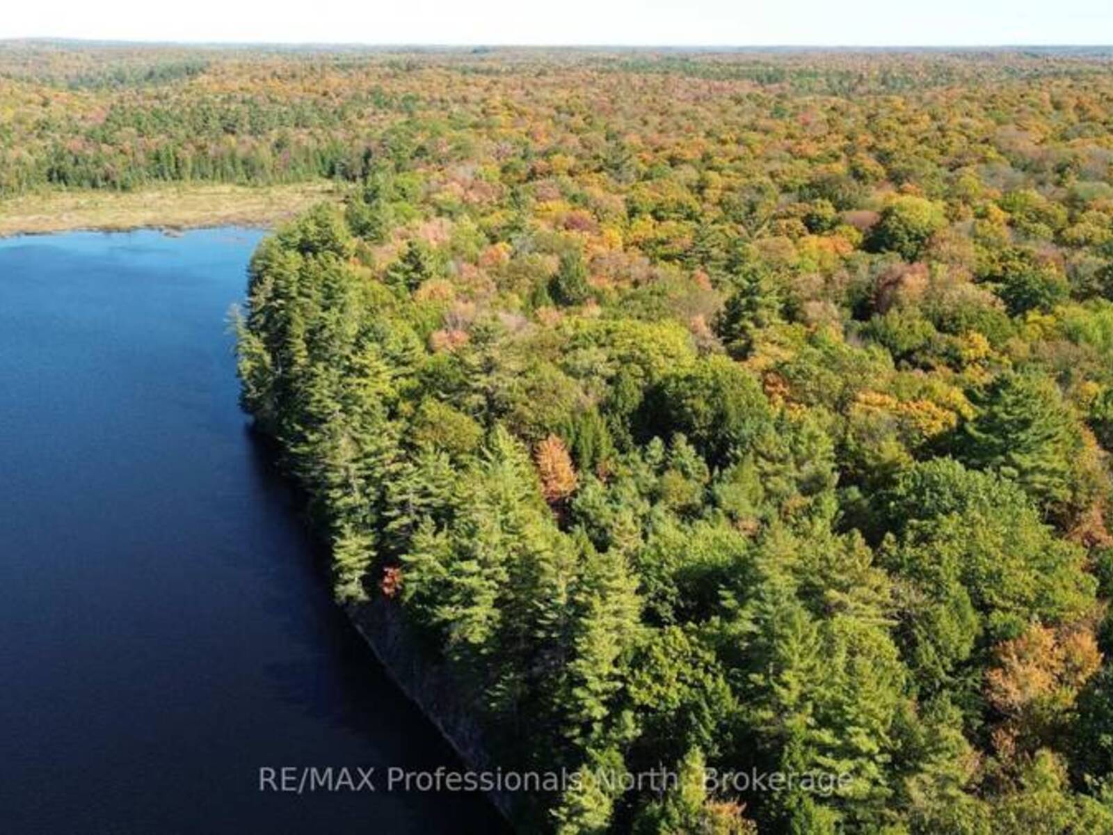 LOT 9 & 10 CONCESSION 5, Baysville, Ontario P0B 1A0
