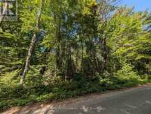 2206 YEARLEY ROAD | McMurrich/Monteith Ontario | Slide Image Ten