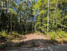 2206 YEARLEY ROAD | McMurrich/Monteith Ontario | Slide Image One