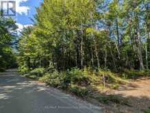2206 YEARLEY ROAD | McMurrich/Monteith Ontario | Slide Image Four