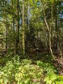 2206 YEARLEY ROAD | McMurrich/Monteith Ontario | Slide Image Eight