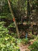 2206 YEARLEY ROAD | McMurrich/Monteith Ontario | Slide Image Nine