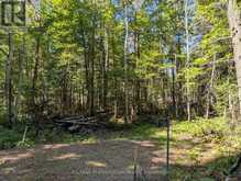 2244 YEARLEY ROAD | McMurrich/Monteith Ontario | Slide Image One
