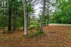 390 ISLAND 360 ISLAND | Port Severn Ontario | Slide Image Thirty-three