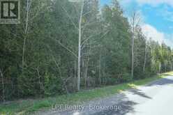 PT LT 24 SPRY SHORE ROAD | Lion's Head Ontario | Slide Image Nineteen