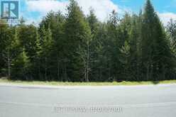 PT LT 24 SPRY SHORE ROAD | Lion's Head Ontario | Slide Image Thirteen