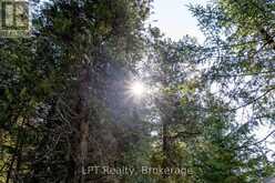 PT LT 24 SPRY SHORE ROAD | Lion's Head Ontario | Slide Image Six