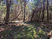 PT LT 56 CON 4 CAPE HURD ROAD | Tobermory Ontario | Slide Image Nineteen