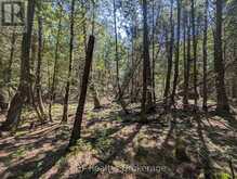 PT LT 56 CON 4 CAPE HURD ROAD | Tobermory Ontario | Slide Image Twenty-eight