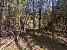 PT LT 56 CON 4 CAPE HURD ROAD | Tobermory Ontario | Slide Image Sixteen