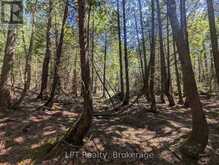 PT LT 56 CON 4 CAPE HURD ROAD | Tobermory Ontario | Slide Image Seventeen