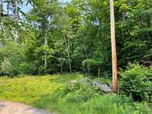 0 COLEMAN LAKE ROAD | Haliburton Ontario | Slide Image Two