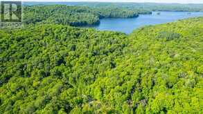 0 COLEMAN LAKE ROAD | Haliburton Ontario | Slide Image Three