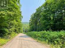 0 COLEMAN LAKE ROAD | Haliburton Ontario | Slide Image Four