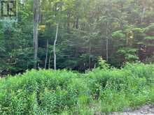0 COLEMAN LAKE ROAD | Haliburton Ontario | Slide Image Six