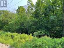 0 COLEMAN LAKE ROAD | Haliburton Ontario | Slide Image Seven