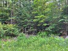 0 COLEMAN LAKE ROAD | Haliburton Ontario | Slide Image Eight