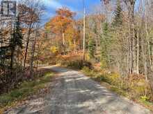 0 COLEMAN LAKE ROAD | Haliburton Ontario | Slide Image Nine