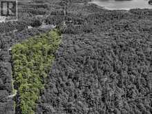 0 LANGFORD ROAD | Baysville Ontario | Slide Image One