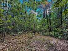 0 LANGFORD ROAD | Baysville Ontario | Slide Image Five